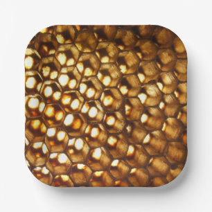 Bienenstock-Papierplatte Pappteller