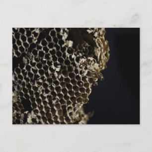 Bienenstock Postkarte