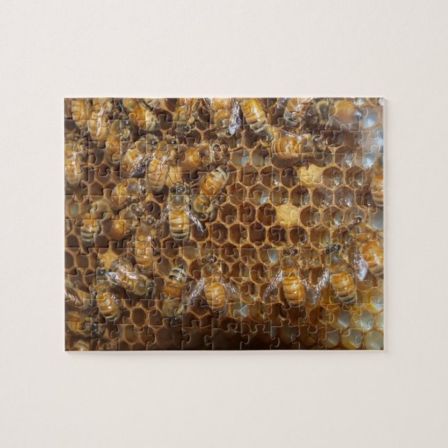 Bienenstock Puzzle (Horizontal)