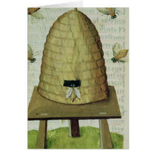 Bienenstock und Bienen