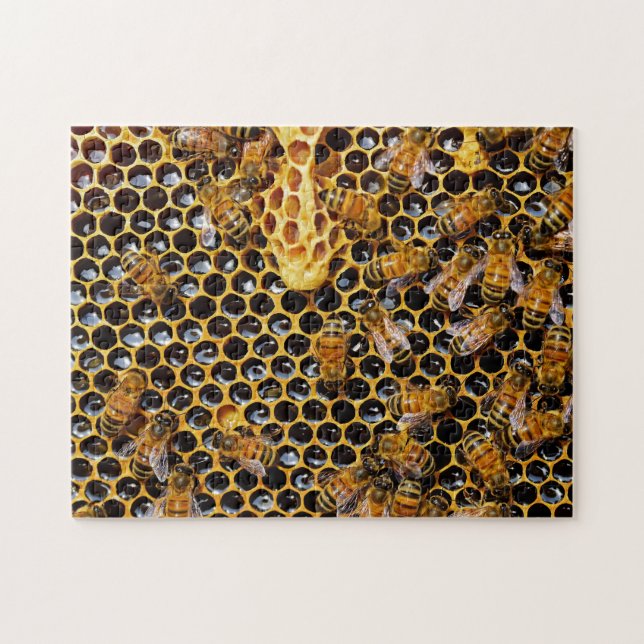 Bienenwabe und Bienen Puzzle (Horizontal)