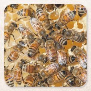 Bienenzucht auf Arlos Honey Farm Rechteckiger Pappuntersetzer