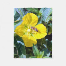 Bienenzucht Produktiv