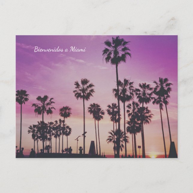 Bienvenidos a Miami Palm Trees Postkarte (Vorderseite)