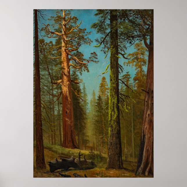Bierstadt Giant Sequoia Forest Painting Poster (Vorne)