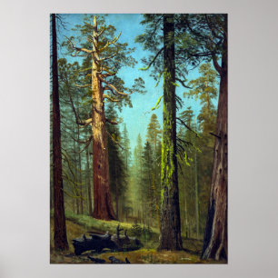 Bierstadt - Grizzly Giant Sequoia Mariposa Grove Poster