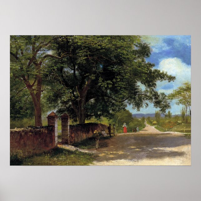 Bierstadt - Straße in Nassau Poster (Vorne)