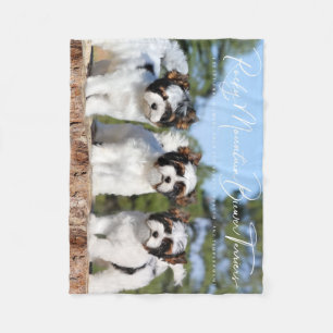 Biewer Terrier Blanket Fleecedecke