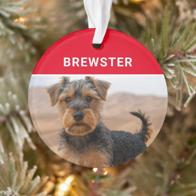 Biewer Terrier Dog's Name and Foto Christmas Ornament (Baum)