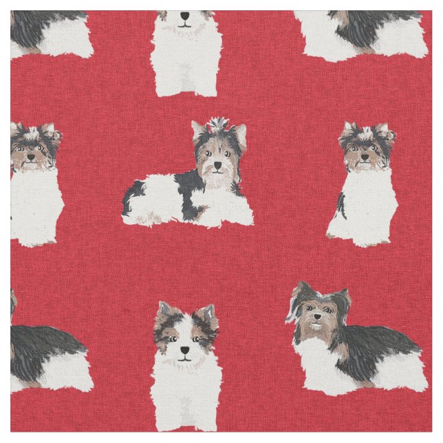 Biewer Terrier Hund, rote Weihnachtssternis Stoff (Nahaufnahme)