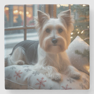 Biewer Terrier mit Weihnachtsbeleuchtung Feiertag Steinuntersetzer
