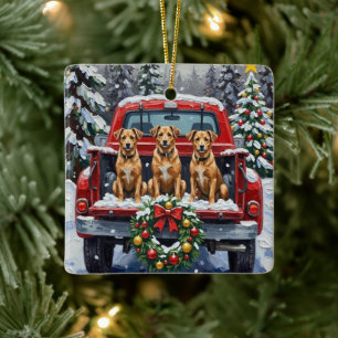 Biewer Terrier Weihnachten Rotes Lastwagen Ferien Keramikornament