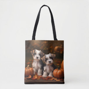 Biewer Terrier Welpe Herbstfreude Kürbis 