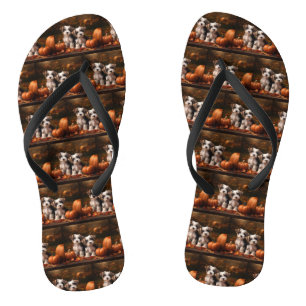 Biewer Terrier Welpe Herbstfreude Kürbis  Flip Flops