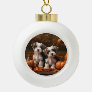 Biewer Terrier Welpe Herbstfreude Kürbis Keramik Kugel-Ornament