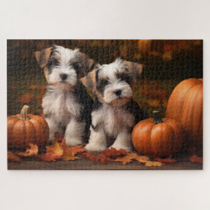 Biewer Terrier Welpe Herbstfreude Kürbis  Puzzle