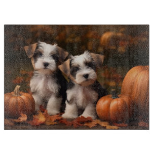 Biewer Terrier Welpe Herbstfreude Kürbis Schneidebrett