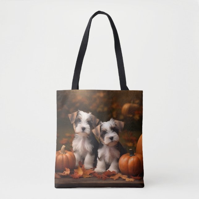 Biewer Terrier Welppy Autumn Delight Pumpkin (Vorderseite)