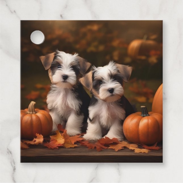 Biewer Terrier Welppy Autumn Delight Pumpkin Geschenkanhänger (Vorderseite)