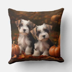 Biewer Terrier Welppy Autumn Delight Pumpkin Kissen