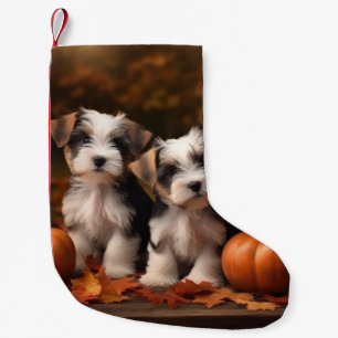 Biewer Terrier Welppy Autumn Delight Pumpkin Kleiner Weihnachtsstrumpf