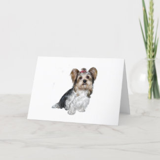 Biewer Yorkshire Terrier Karte