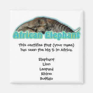 Big 5 Africa Wildlife Safari Magnete