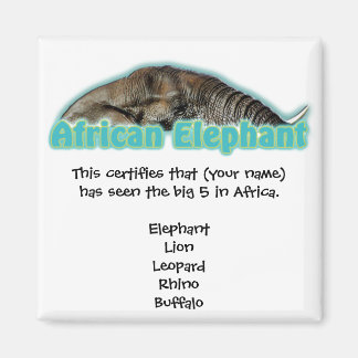 Big 5 Africa Wildlife Safari Magnete