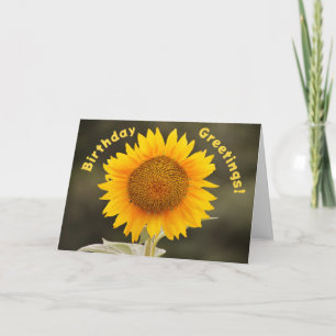 Big and Bright Niedlich Sunflower Geburtstagskarte Karte