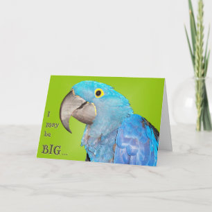 Big and Loveable Karte