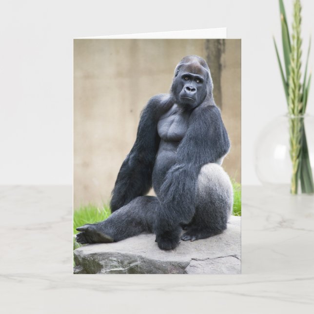 Big Ape Karte (Vorderseite)