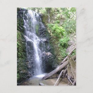 Big Basin, Santa Cruz Berge Postkarte