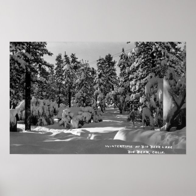 Big Bear Lake, CA im Winter Snow View Poster (Vorne)