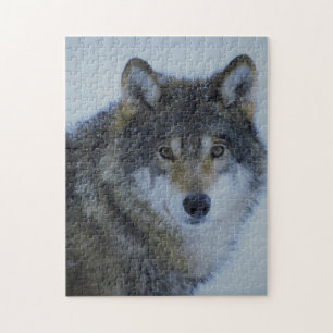Big Beautiful Grey Wolf in freier Wildbahn Puzzle
