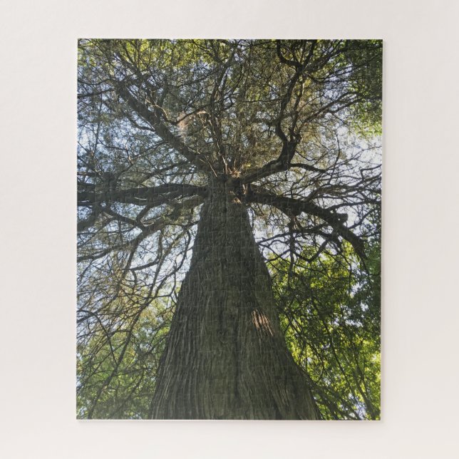 Big Beautiful Tree Puzzle (Vertikal)
