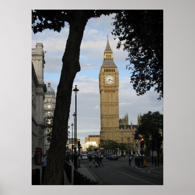 Big Ben durch einen Baum Poster (Vorne)