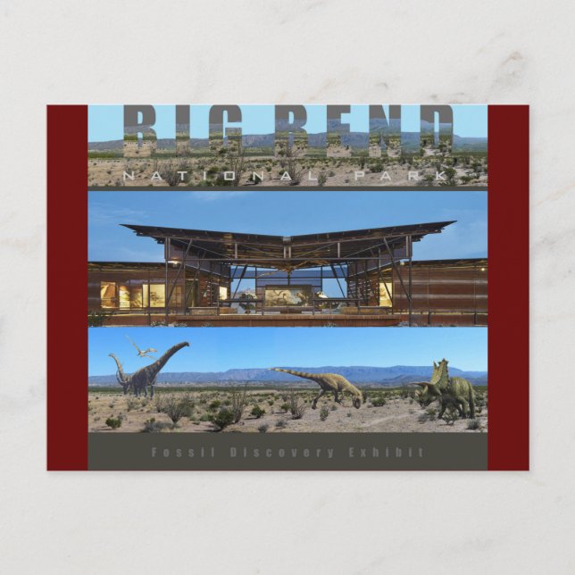 BIG BEND NAT’L PARK-Texas-Fossil Ausstellung - Postkarte (Vorderseite)
