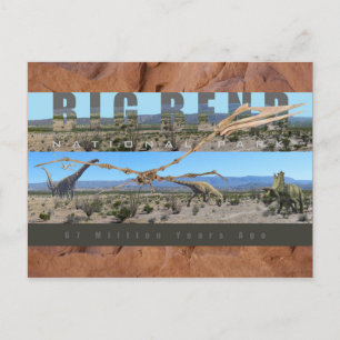 BIG BEND NAT’L PARK-Texas-Fossil-Entdeckungsausste Postkarte