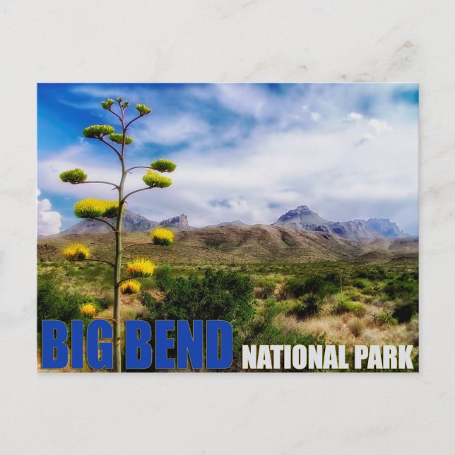 Big Bend Texas U.S. National Park Post Card Postkarte (Vorderseite)