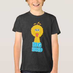 Big Bird Classic Style Tri-Blend Shirt