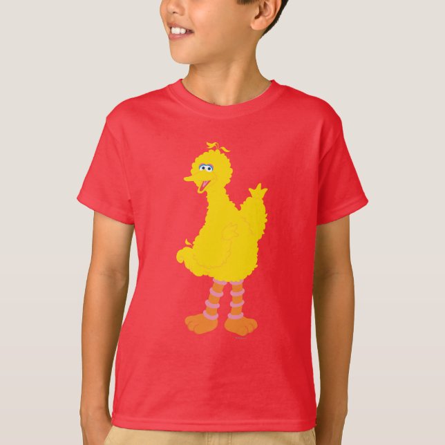 Big Bird Graphic T-Shirt (Vorderseite)