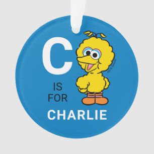 Big Bird Personalisierter Name mit Foto Ornament