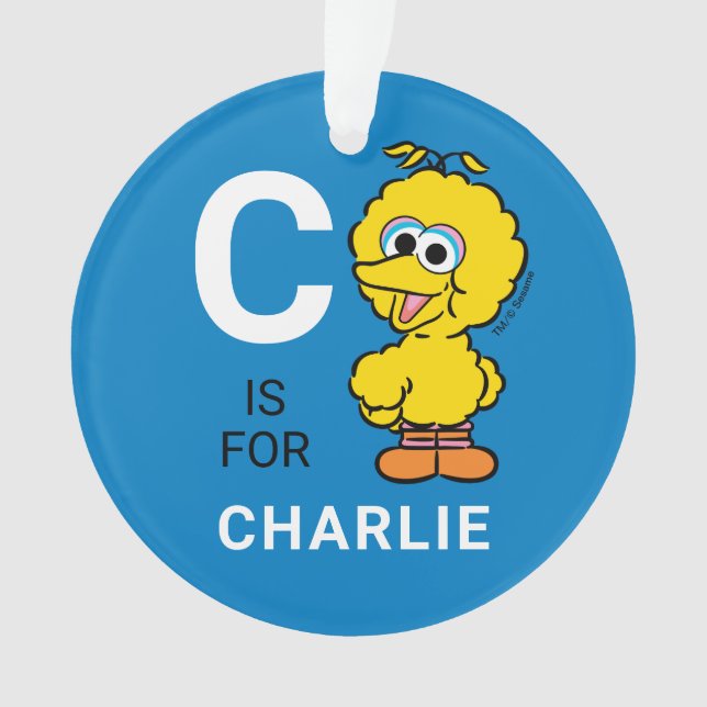 Big Bird | Personalisierter Name mit Foto Ornament (Vorderseite)