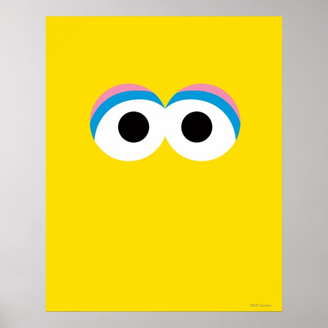 Big Bird Poster (Vorne)