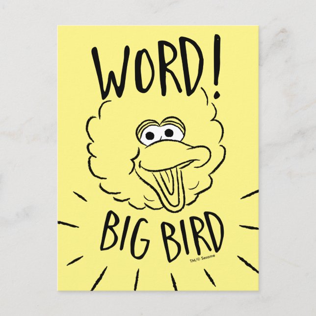 Big Bird Skate Logo - Word! Big Bird Postkarte (Vorderseite)