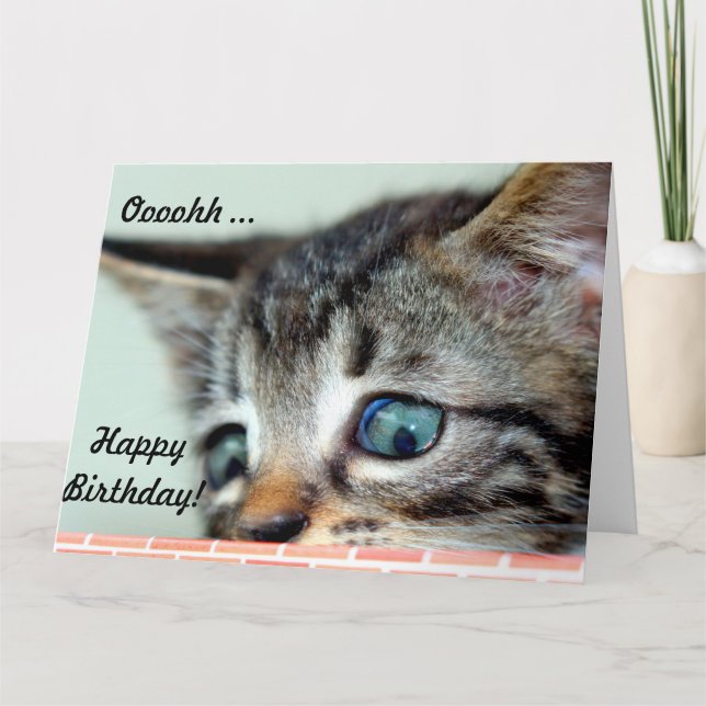 Big Birthday Card Niedlich Kitten freut sich auf G Karte (Vorderseite)