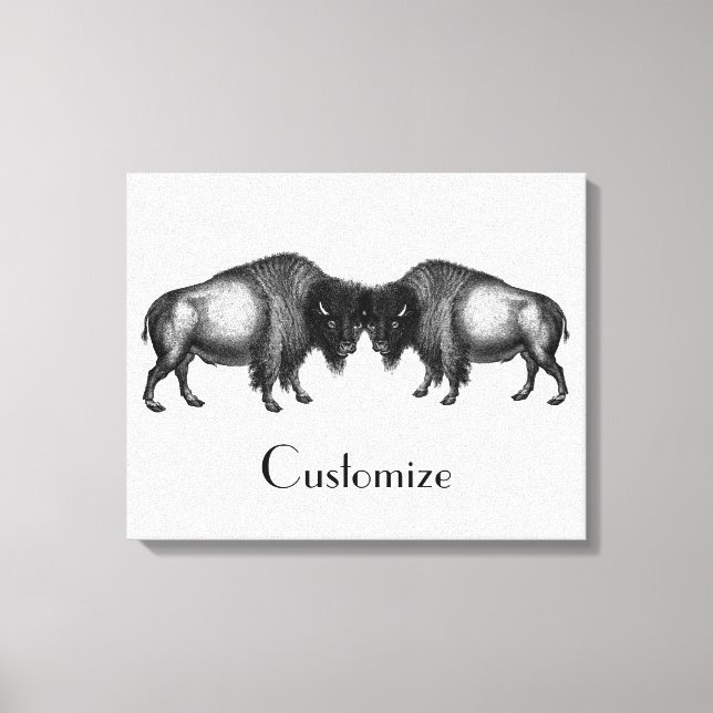 Big Bison Buffalo Thunder_Cove Leinwanddruck (Vorderseite)