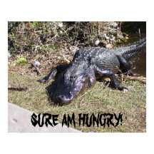 Big Black Alligator Poster