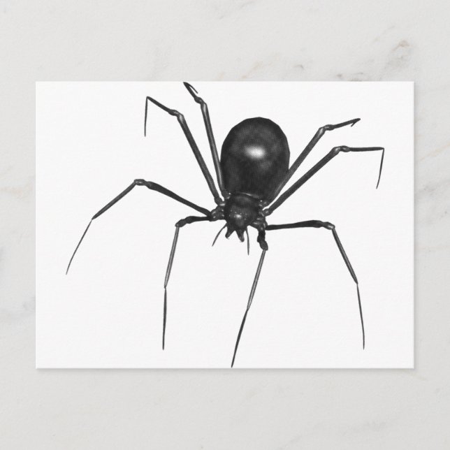 Big Black Creepy 3D Spider Postkarte (Vorderseite)