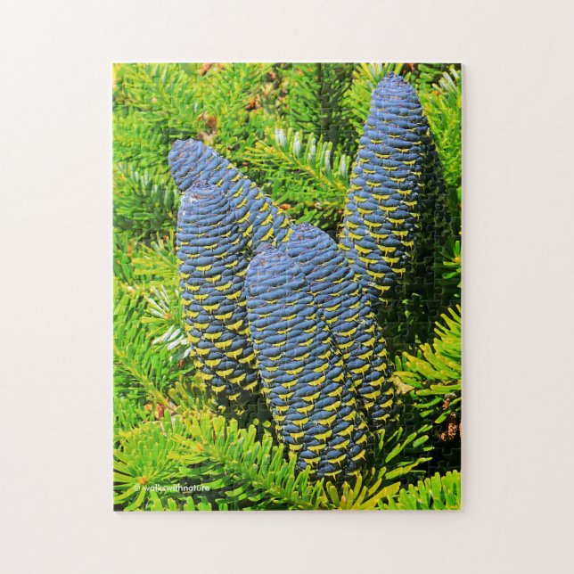 Big Blue Korean Fir Cones Puzzle (Vertikal)